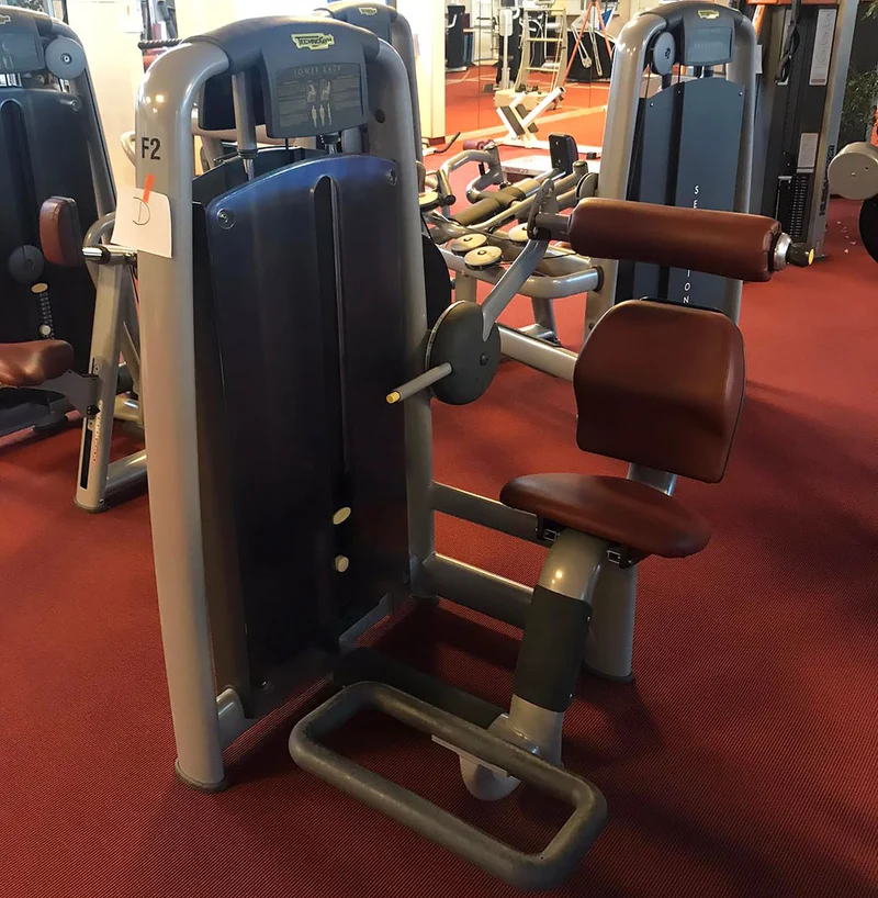 TechnoGym Back Extension, Rückenstreckermaschine, Hyperextension, Selection Line - Neues Modell mit Plastikverkleidung, Polster Braun, gebraucht - überholter Zustand