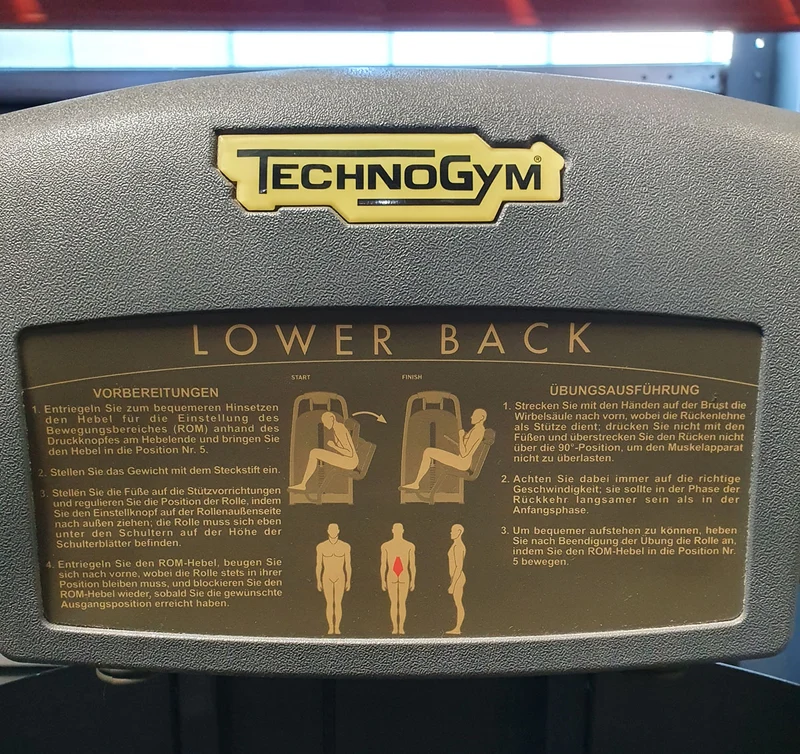 TechnoGym Back Extension, Rückenstreckermaschine, Hyperextension, Selection Line - Neues Modell mit Plastikverkleidung, Polster Braun, gebraucht - überholter Zustand
