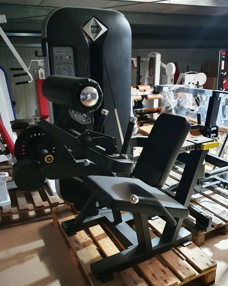 Dank Sport Beinstrecker und Beinbeuger Kombigerät 2 in 1 , Leg Curl and Leg Extension, Rahmen Schwarz, Polster Schwarz, Ausstellungsgerät - aufgebaut