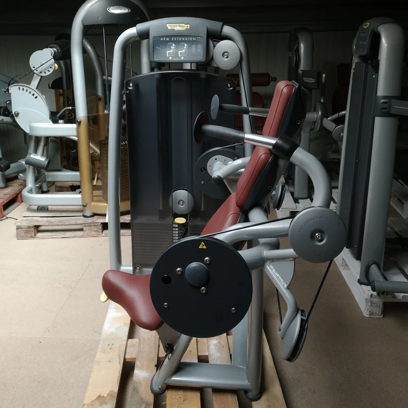 TechnoGym Trizepsmaschine, Arm Extension, Selection Line - Neues Modell mit Plastikverkleidung, Polster Braun, gebraucht - überholter Zustand