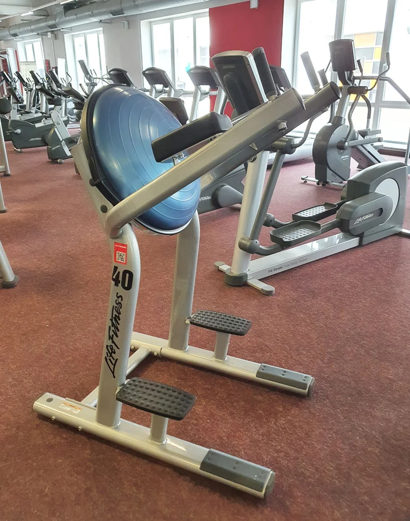 Life Fitness Bosu Ball Beinheber Gymnastikball, Leg Raise SLR, Signature Serie, Rahmenfarbe Silber, gebrauchter - überholter Zustand