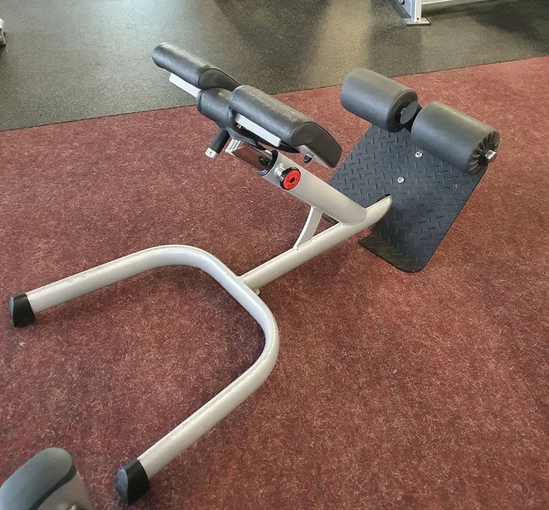 Gym80 Rückenstreckerbank 4119, 45 Grad, Hyperextension, Sygnum Serie, Rahmen Silber, Polster Schwarz, gebraucht - überholter Zustand