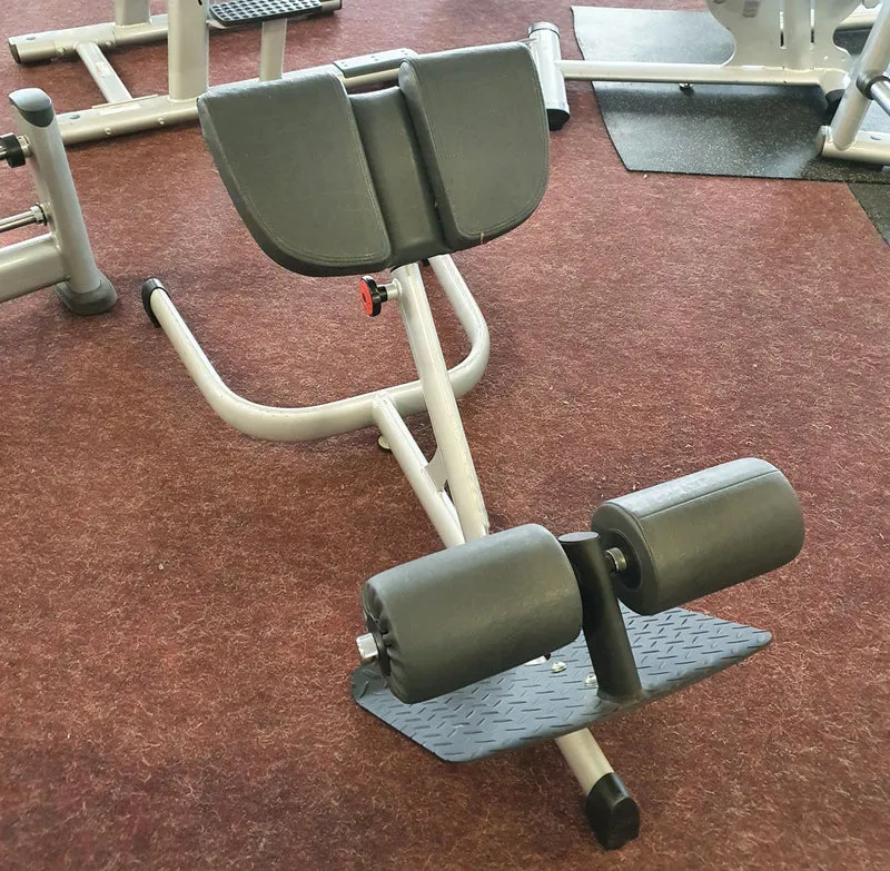 Gym80 Rückenstreckerbank 4119, 45 Grad, Hyperextension, Sygnum Serie, Rahmen Silber, Polster Schwarz, gebraucht - überholter Zustand