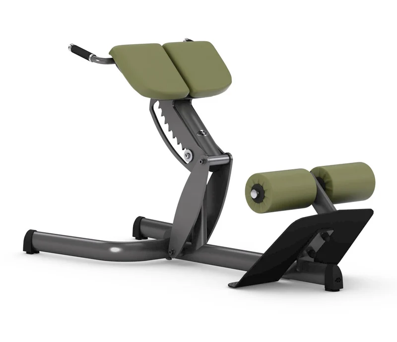 Gym80 Rückenstreckerbank 4119, 45 Grad, Hyperextension, Sygnum Serie, Rahmen Silber, Polster Schwarz, gebraucht - überholter Zustand