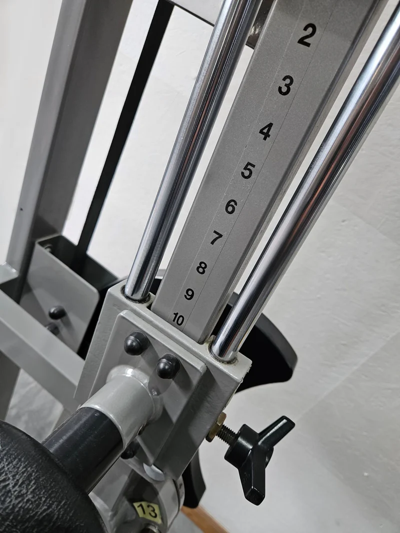 RMA Bauch / Rücken Kombigerät 2 in 1, Abs and lower Back, Silber, gebraucht - überholter Zustand