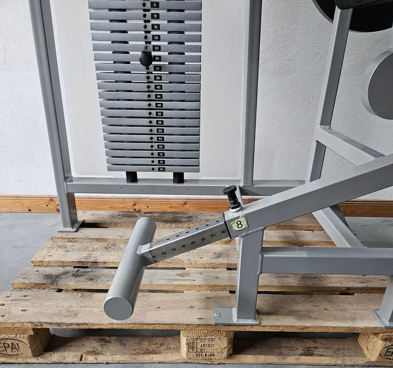 RMA Bauch / Rücken Kombigerät 2 in 1, Abs and lower Back, Silber, gebraucht - überholter Zustand