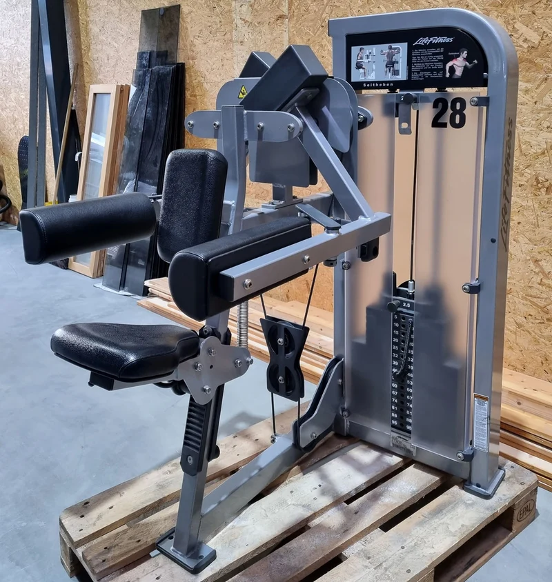 Life Fitness Pro 2 Seithebemaschine, Lateral Raise, Rahmenfarbe Silber, Polsterfarbe Schwarz, gebraucht - überholter Zustand