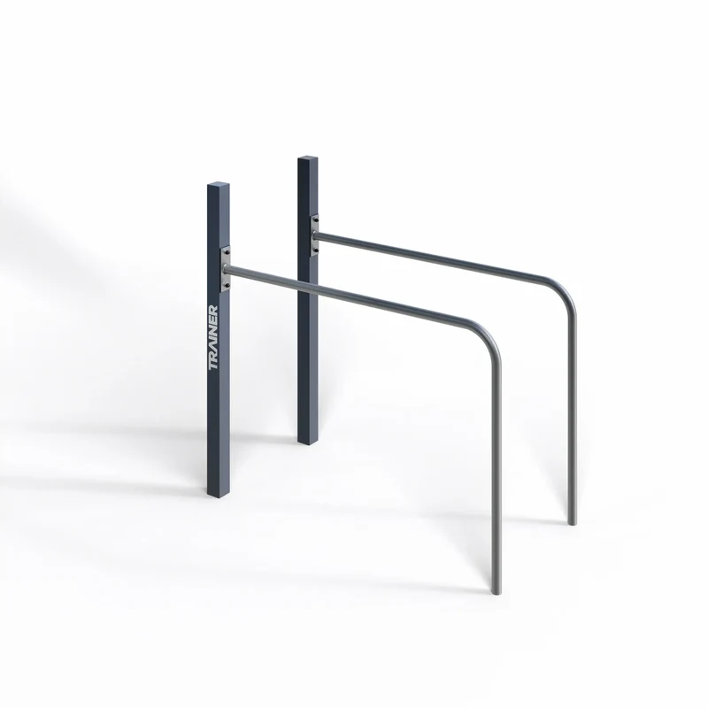 TRAINER Outdoor "Calisthenics" Street Workout Hand Rails to Pole