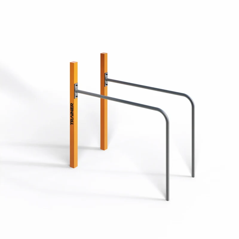 TRAINER Outdoor "Calisthenics" Street Workout Hand Rails to Pole