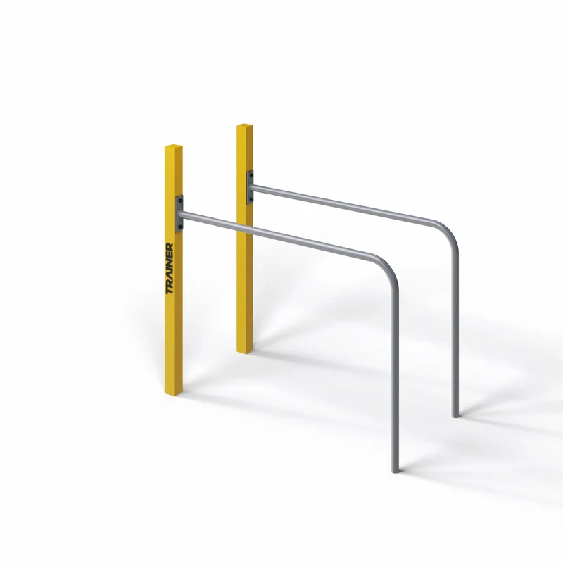 TRAINER Outdoor "Calisthenics" Street Workout Hand Rails to Pole