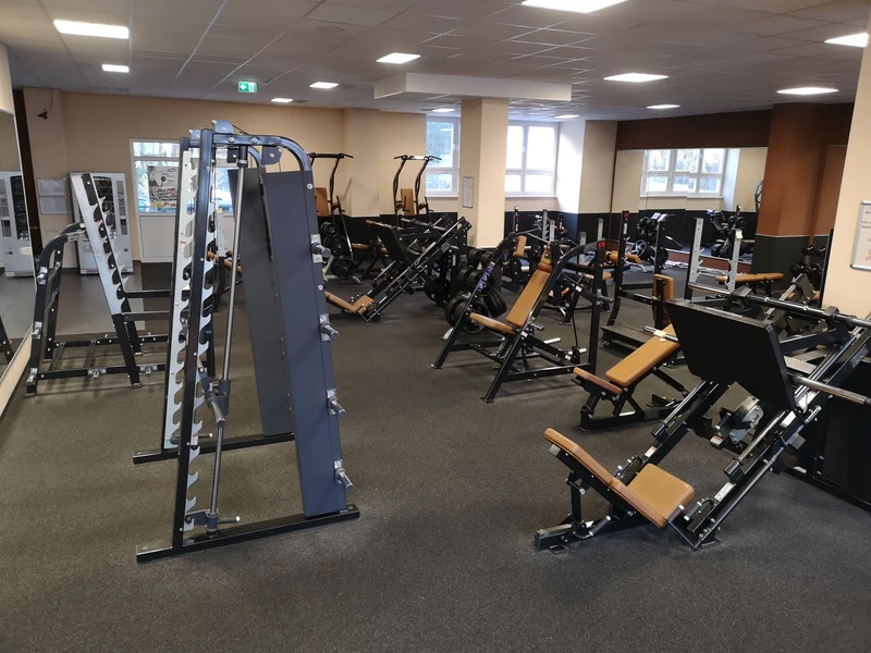 Life Fitness & Hammer Strength - 93 Fitnessgeräte - Kraftgeräte, Cardiogeräte, Plate loaded Geräte, Bänke etc - komplettes Fitnessstudio - gebraucht - TOP Zustand