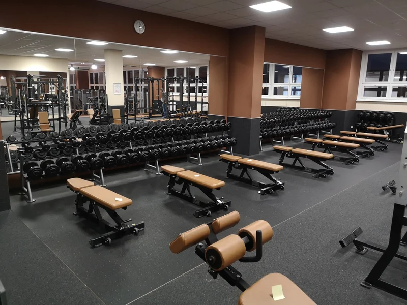 Life Fitness & Hammer Strength - 93 Fitnessgeräte - Kraftgeräte, Cardiogeräte, Plate loaded Geräte, Bänke etc - komplettes Fitnessstudio - gebraucht - TOP Zustand