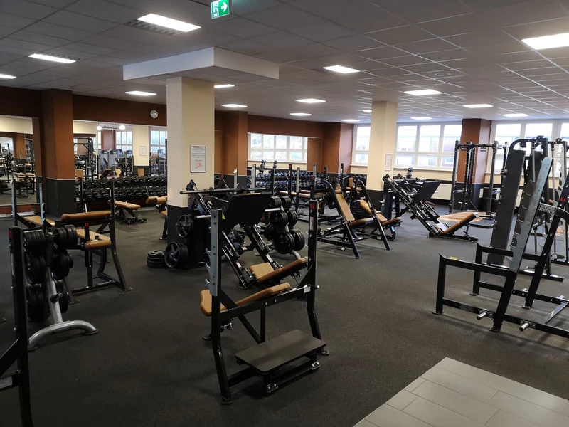 Life Fitness & Hammer Strength - 93 Fitnessgeräte - Kraftgeräte, Cardiogeräte, Plate loaded Geräte, Bänke etc - komplettes Fitnessstudio - gebraucht - TOP Zustand