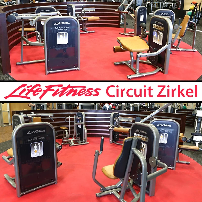 Life Fitness & Hammer Strength - 93 Fitnessgeräte - Kraftgeräte, Cardiogeräte, Plate loaded Geräte, Bänke etc - komplettes Fitnessstudio - gebraucht - TOP Zustand