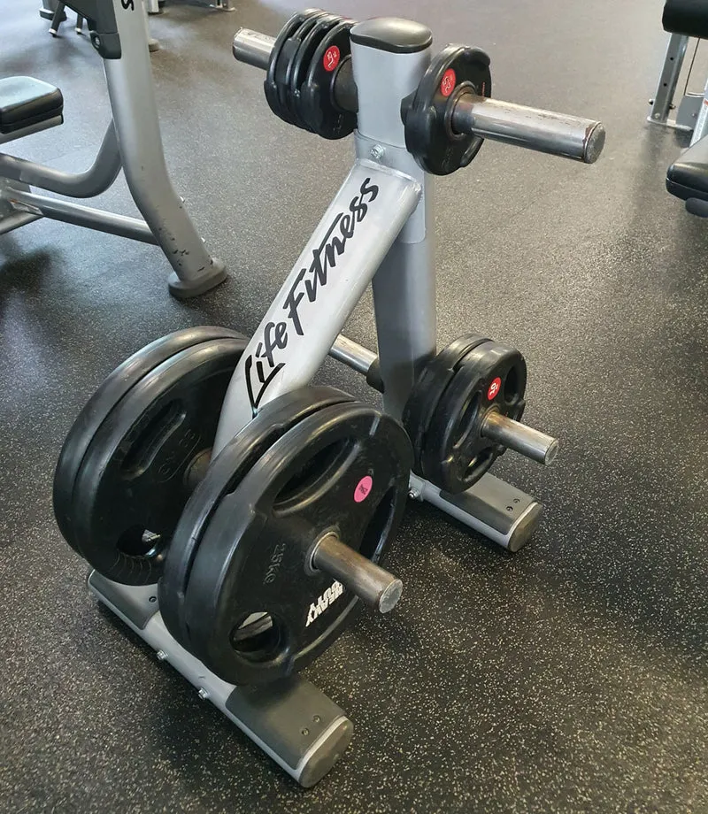 Life Fitness Scheibenständer, 6 Zapfen, Silber, Signature Serie, gebraucht