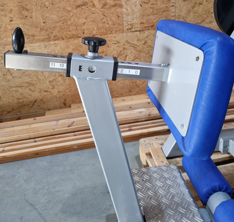 SVG Bauchbeuger / Rückenstrecker Kombigerät , 2 in 1 Kombigerät, MPG, gebraucht - überholter Zustand