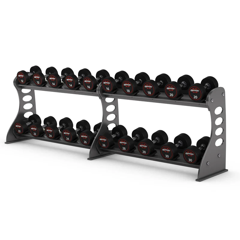 Gym80 Kurzhantelständer 4050 Lang, Sygnum, Silber, gebraucht - überholter Zustand