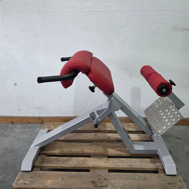 SVG Hyperextension 45° - Rückenstreckerbank und Lumbaltrainer in einem Gerät, verstellbar, Rahmenfarbe Silber, gebraucht - überholter Zustand