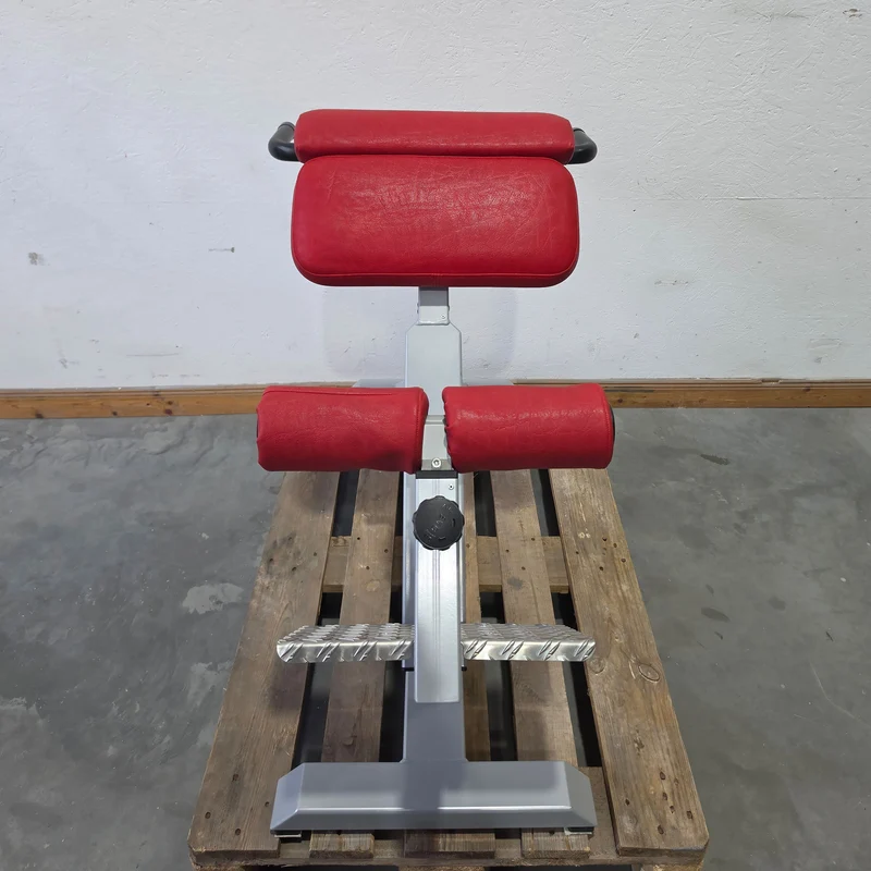 SVG Hyperextension 45° - Rückenstreckerbank und Lumbaltrainer in einem Gerät, verstellbar, Rahmenfarbe Silber, gebraucht - überholter Zustand