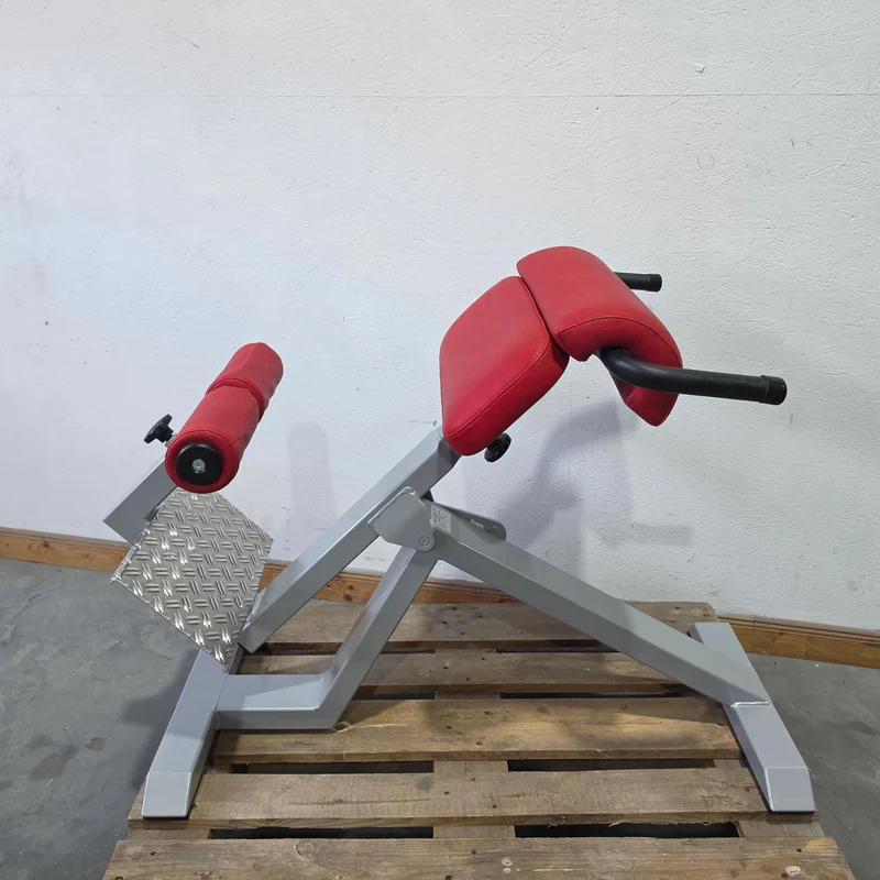 SVG Hyperextension 45° - Rückenstreckerbank und Lumbaltrainer in einem Gerät, verstellbar, Rahmenfarbe Silber, gebraucht - überholter Zustand