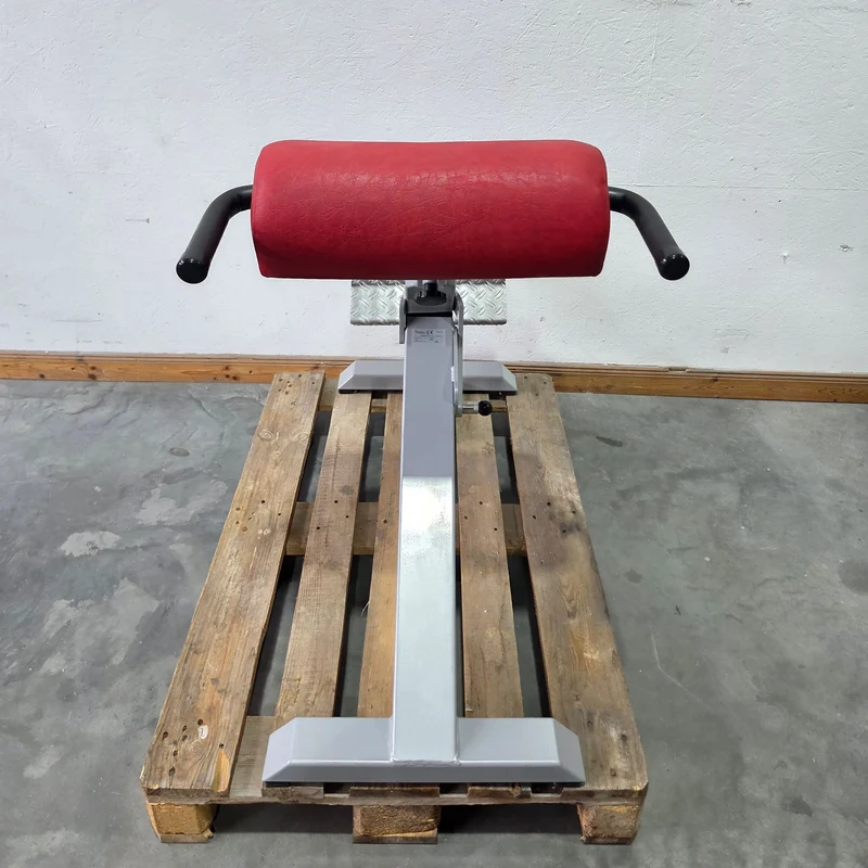 SVG Hyperextension 45° - Rückenstreckerbank und Lumbaltrainer in einem Gerät, verstellbar, Rahmenfarbe Silber, gebraucht - überholter Zustand