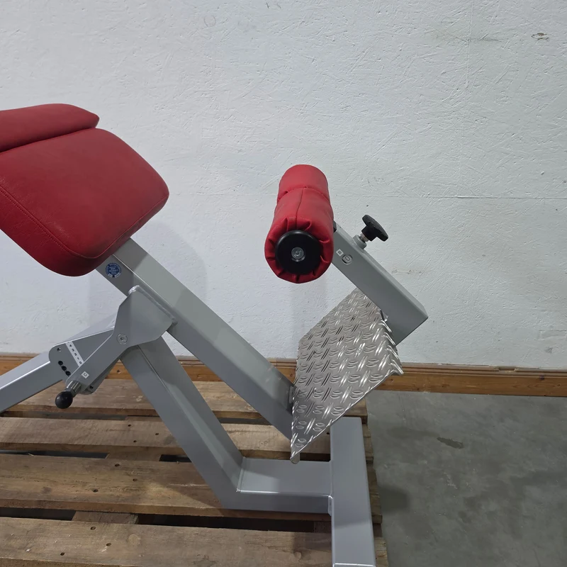 SVG Hyperextension 45° - Rückenstreckerbank und Lumbaltrainer in einem Gerät, verstellbar, Rahmenfarbe Silber, gebraucht - überholter Zustand