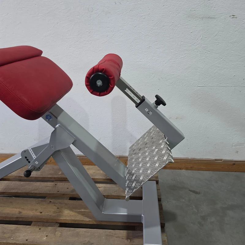 SVG Hyperextension 45° - Rückenstreckerbank und Lumbaltrainer in einem Gerät, verstellbar, Rahmenfarbe Silber, gebraucht - überholter Zustand