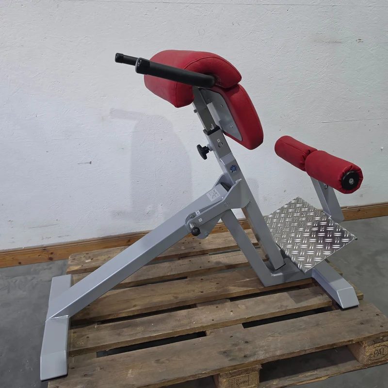 SVG Hyperextension 45° - Rückenstreckerbank und Lumbaltrainer in einem Gerät, verstellbar, Rahmenfarbe Silber, gebraucht - überholter Zustand