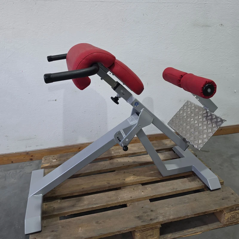 SVG Hyperextension 45° - Rückenstreckerbank und Lumbaltrainer in einem Gerät, verstellbar, Rahmenfarbe Silber, gebraucht - überholter Zustand