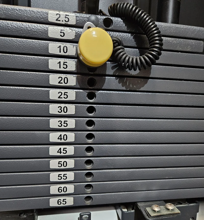 Technogym Rotationsmaschine, Rotary Torso, Twister, Selection Line, Rahmenfarbe Weiß, Polsterfarbe Braun, gebraucht - überholter Zustand