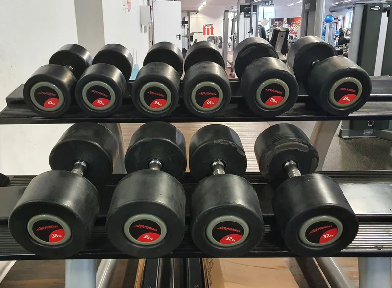 Life Fitness Hantelsatz, gummiert, 2kg bis 40kg in 2kg und 2,5kg Stufen, gebraucht