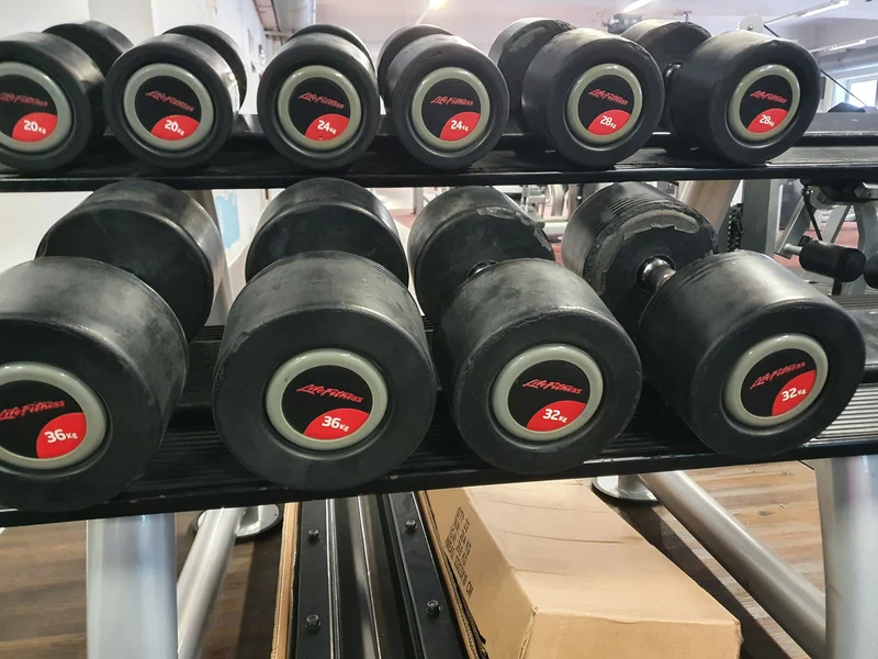Life Fitness Hantelsatz, gummiert, 2kg bis 40kg in 2kg und 2,5kg Stufen, gebraucht
