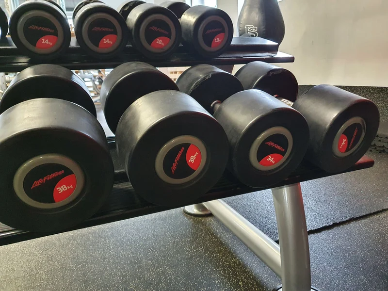 Life Fitness Hantelsatz, gummiert, 2kg bis 40kg in 2kg und 2,5kg Stufen, gebraucht