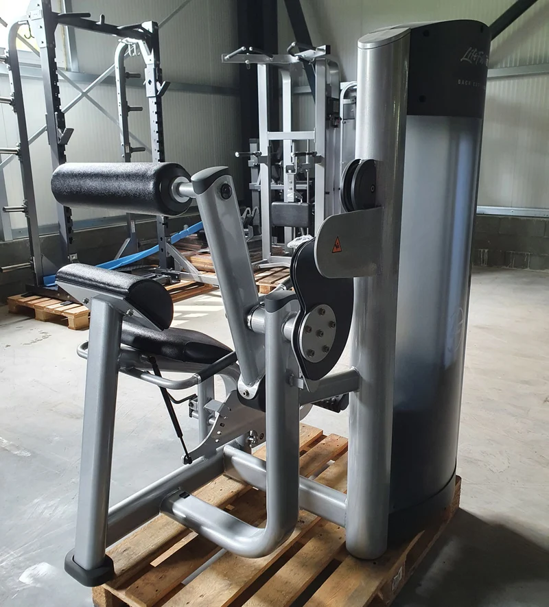 Life Fitness Back Extension, Rückenstreckermaschine, Hyperextension, Signature Series, Rahmenfarbe Silber, Polsterfarbe Schwarz, gebraucht - überholter Zustand