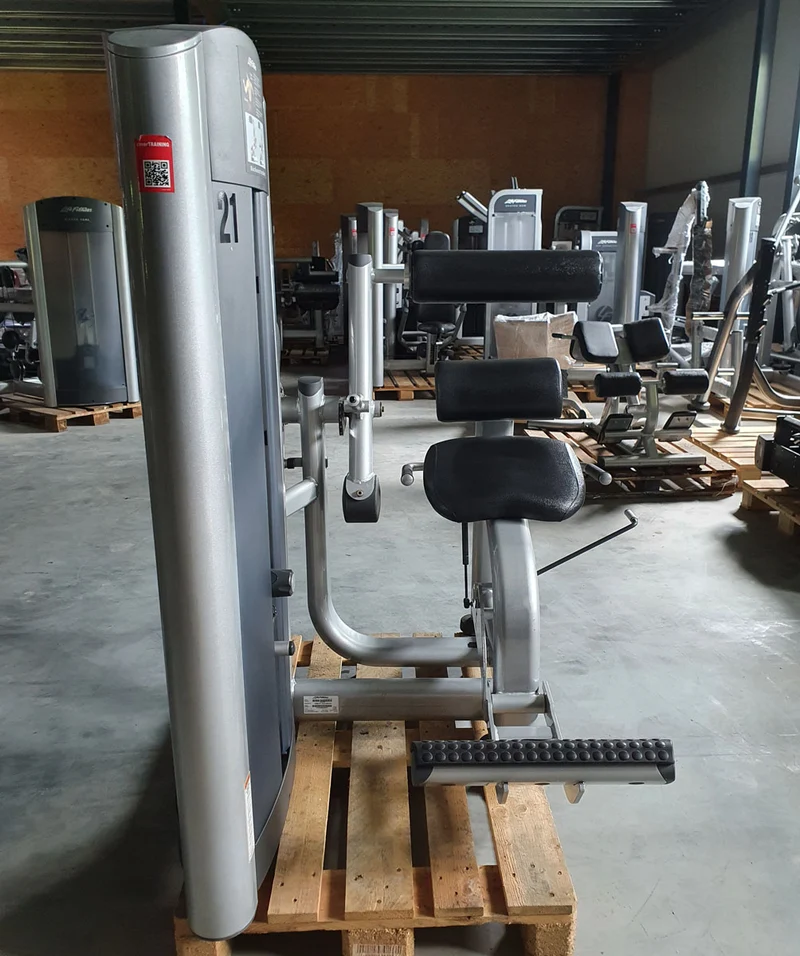 Life Fitness Back Extension, Rückenstreckermaschine, Hyperextension, Signature Series, Rahmenfarbe Silber, Polsterfarbe Schwarz, gebraucht - überholter Zustand