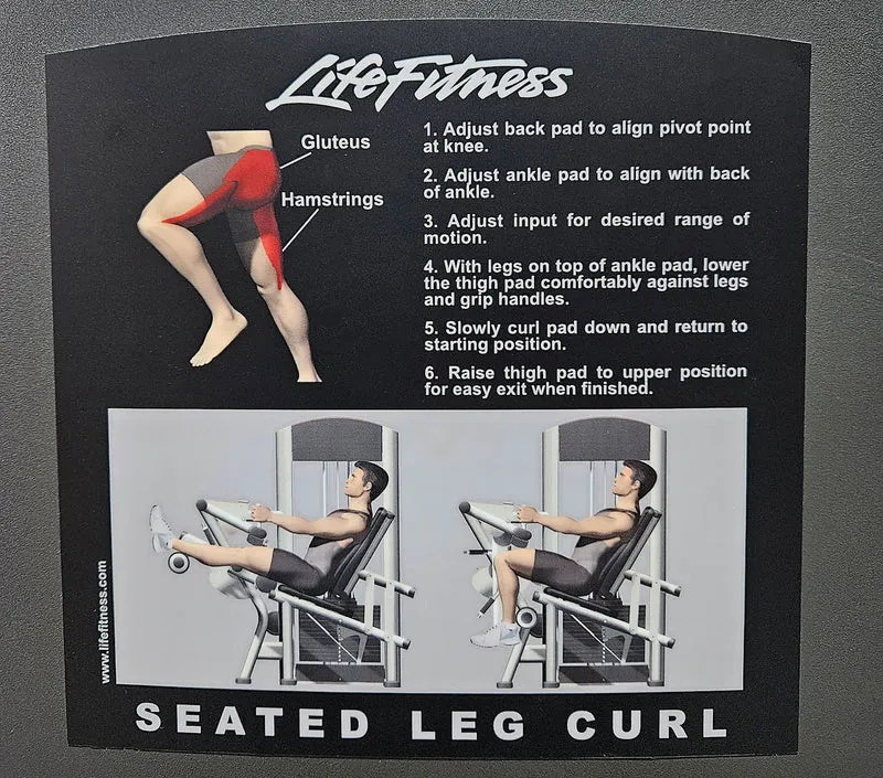 Life Fitness Beinbeuger sitzend, Leg Curl, Signature Serie, 135kg Gewichtsblock, Rahmenfarbe Silber, gebraucht - überholter Zustand