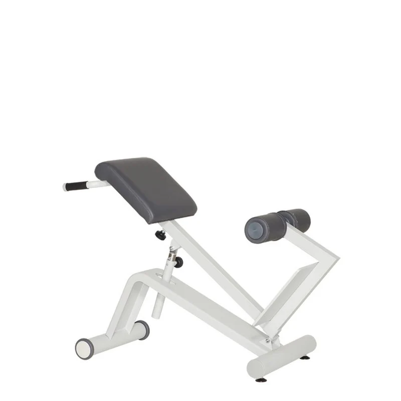 Dynamed Lateral- /Lumbal-Trainer, Stolzenberg - NEU