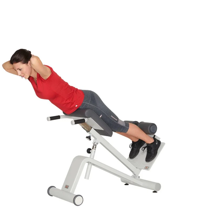 Dynamed Lateral- /Lumbal-Trainer, Stolzenberg - NEU