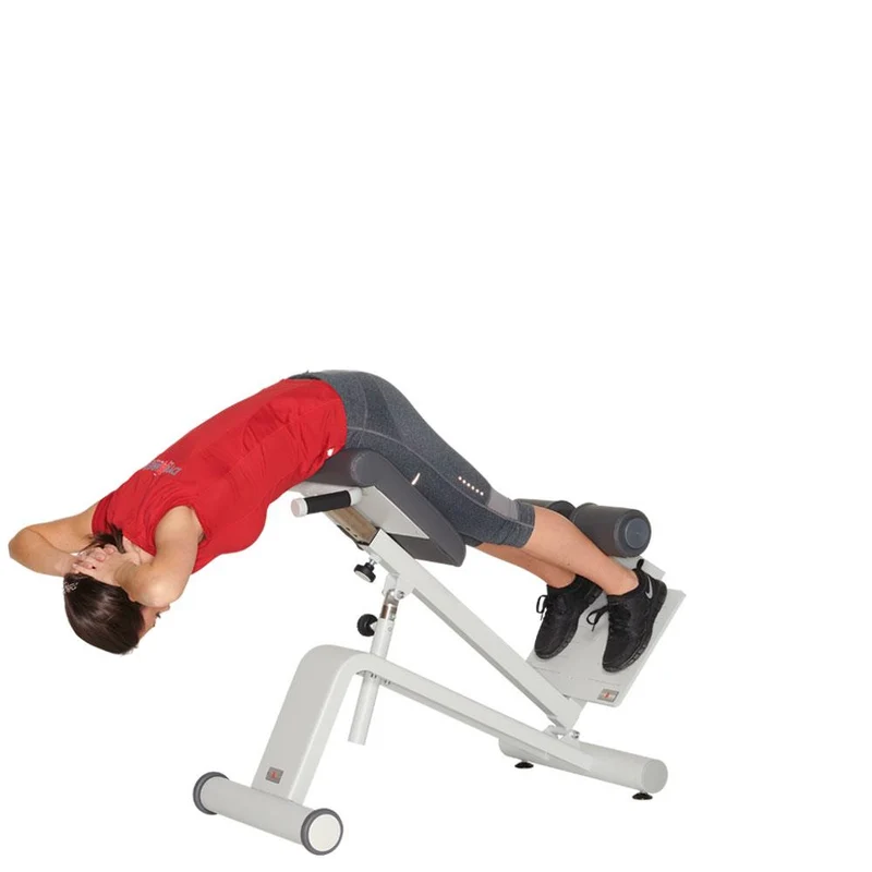 Dynamed Lateral- /Lumbal-Trainer, Stolzenberg - NEU