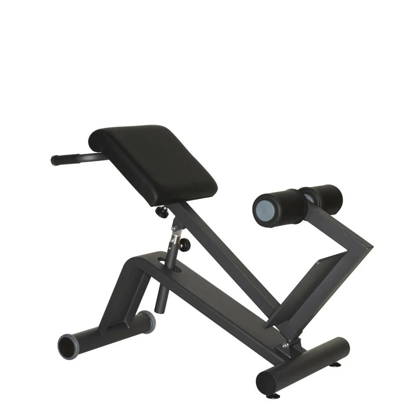 Dynamed Lateral- /Lumbal-Trainer, Stolzenberg - NEU