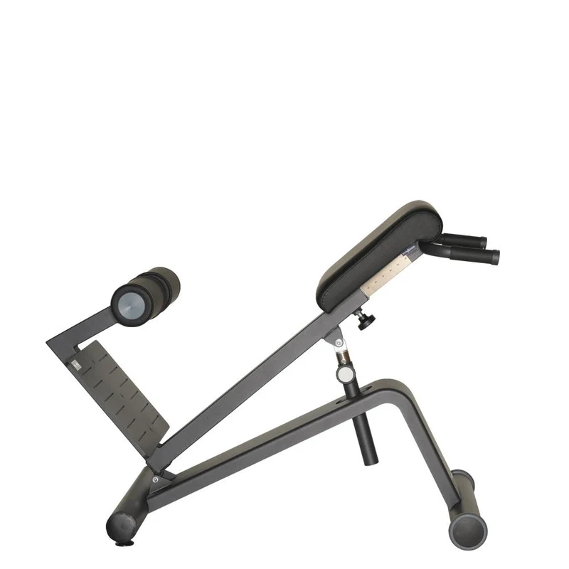 Dynamed Lateral- /Lumbal-Trainer, Stolzenberg - NEU