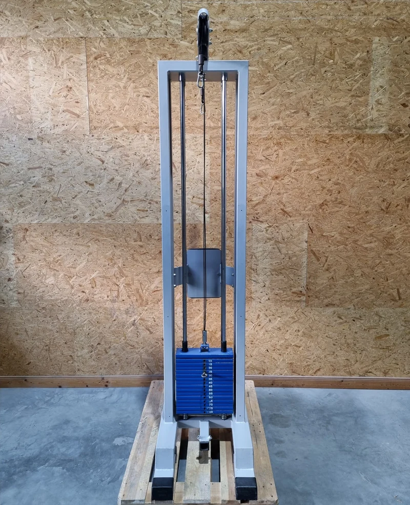 Panatta Doppel Seilzugturm, Trizepsturm von Oben, 1x mit Hüftpolster, 50kg und 80kg Gewichstblock, Triceps Pulley Tower - gebraucht - geprüfter Zustand