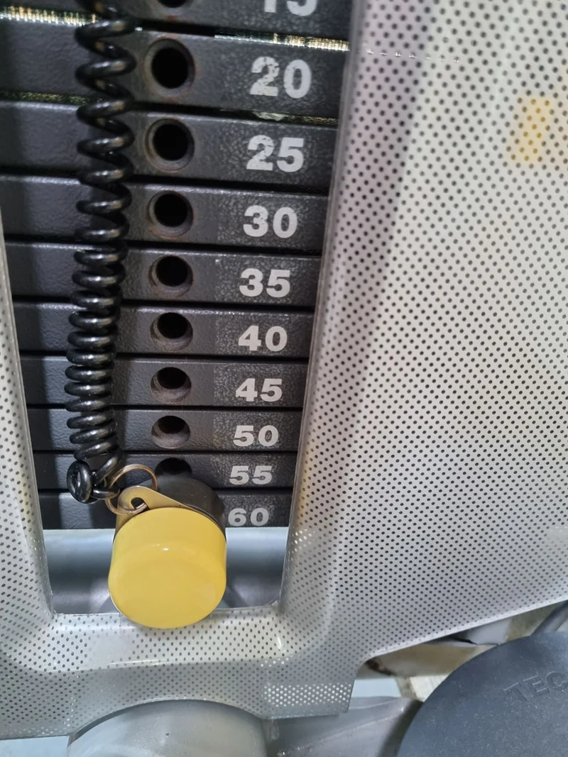 TechnoGym Bizepsmaschine, Arm Curl, Element Line, Rahmenfarbe Silber, Polsterfarbe Taubenblau, gebraucht - überholter Zustand
