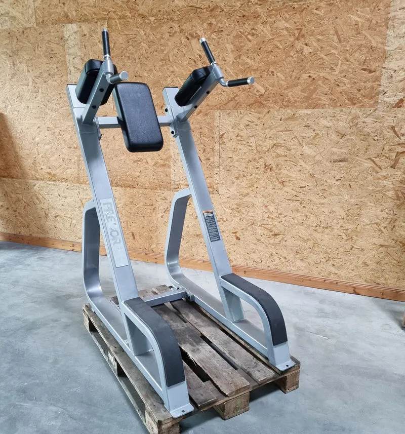 Precor Dip- und Beinhebenständer, Leg Raise, Rahmen Silber, Polster Schwarz, gebraucht - überholter Zustand