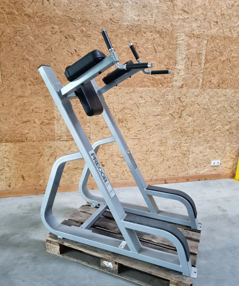 Precor Dip- und Beinhebenständer, Leg Raise, Rahmen Silber, Polster Schwarz, gebraucht - überholter Zustand
