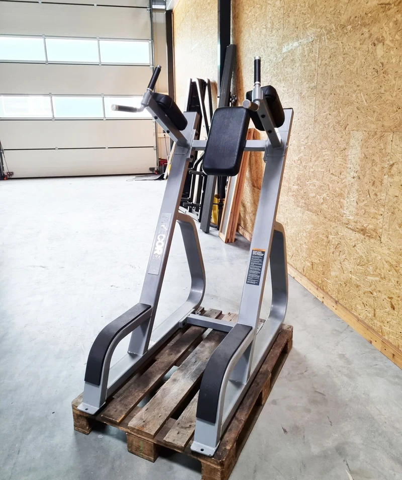 Precor Dip- und Beinhebenständer, Leg Raise, Rahmen Silber, Polster Schwarz, gebraucht - überholter Zustand
