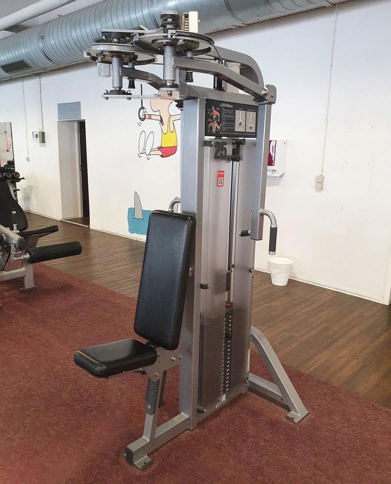 Life Fitness Pro2 und Hammer Strength - 15 Kraftgeräte im Set, Rahmen Silber, gebraucht - überholter Zustand
