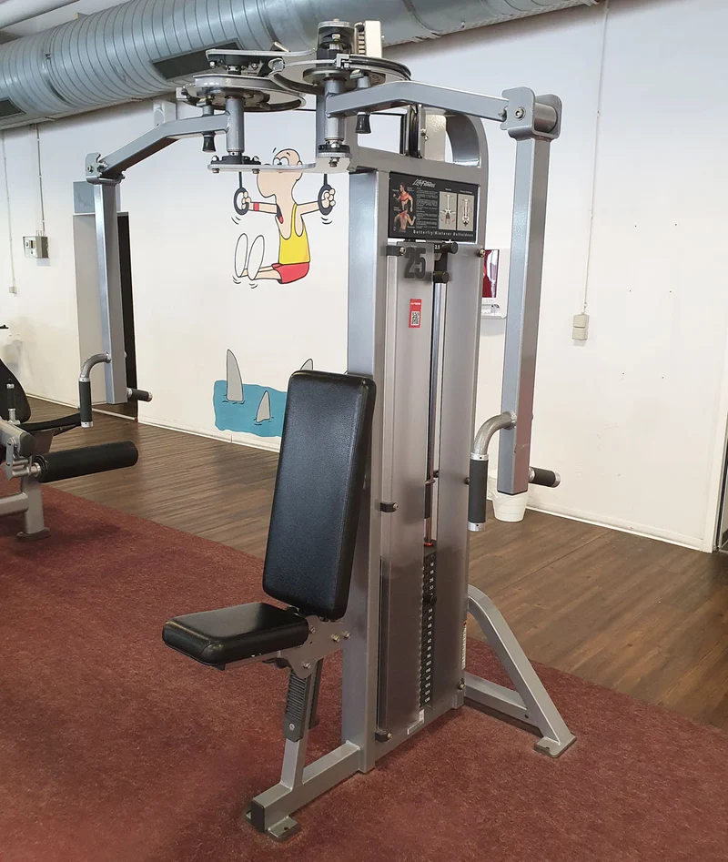 Life Fitness Pro2 und Hammer Strength - 15 Kraftgeräte im Set, Rahmen Silber, gebraucht - überholter Zustand