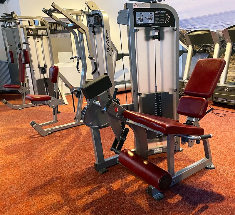 Life Fitness Pro2 und Hammer Strength - 15 Kraftgeräte im Set, Rahmen Silber, gebraucht - überholter Zustand