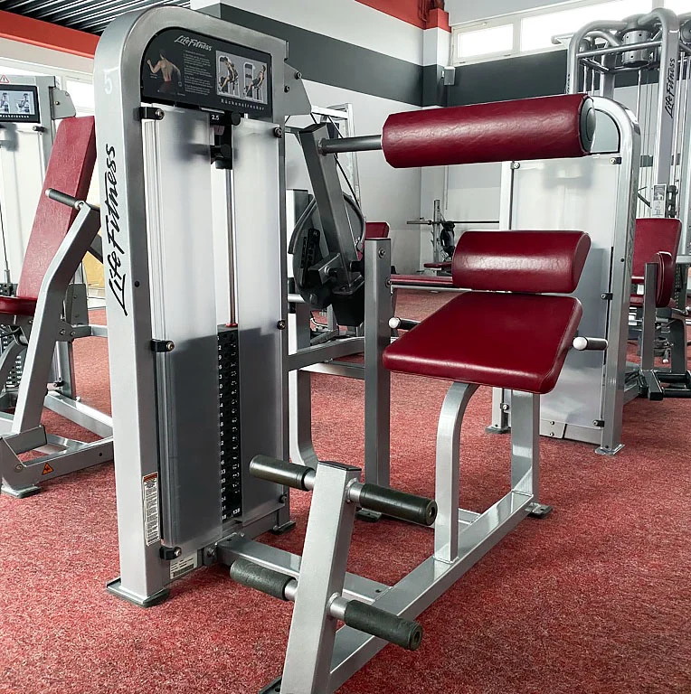 Life Fitness Pro2 und Hammer Strength - 15 Kraftgeräte im Set, Rahmen Silber, gebraucht - überholter Zustand
